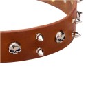 GSD Collar, Broad Leather Strap, Spikes and Skulls
