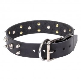 Spiked Leather Dog Collar