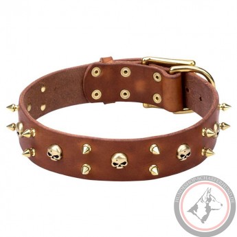 Spiked Leather Dog Collar Brass