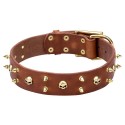GSD Collar, Broad Leather, Brass Skulls and Spikes