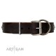 German Shepherd Collar "Victory Ode" FDT Artisan Tan Leather