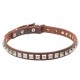 Leather Dog Collar with 1 Row Nickel Studs