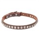 Leather Dog Collar with 1 Row Nickel Studs