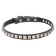 Leather Dog Collar with 1 Row Nickel Studs