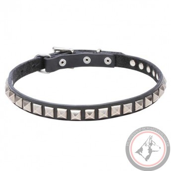 Leather Dog Collar with 1 Row Nickel Studs