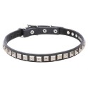 GSD Collar for Puppy, Narrow Leather, Chromized Studs