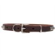 Leather Dog Collar with 1 Row Nickel Studs