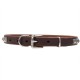 Leather Dog Collar with 1 Row Nickel Studs