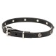 Leather Dog Collar with 1 Row Nickel Studs