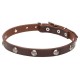 Leather Dog Collar with 1 Row Nickel Studs