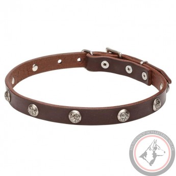 Leather Dog Collar with 1 Row Nickel Studs