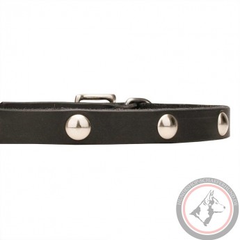 Soft Leather Dog Collar with 1 Row Nickel Studs