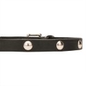 German Shepherd Puppy Collar, Leather, Half-Ball Studs