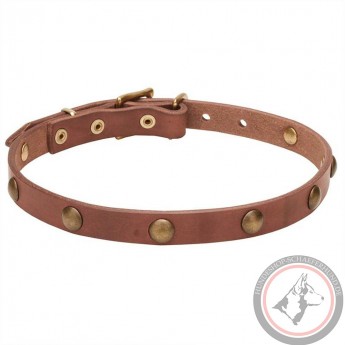 Extra Soft Narrow Leather Dog Collar with 1 Row Brass Studs