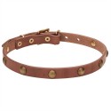 German Shepherd Puppy Collar Leather, Brass Hardware