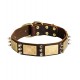 Leather Dog Collar with Spikes and Brass Plates