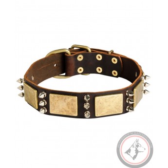 Leather Dog Collar with Spikes and Brass Plates