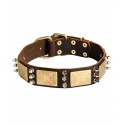 German Shepherd Collar, Leather with Spikes and Plates