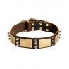 Leather Dog Collar with Spikes and Brass Plates