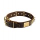 Leather Dog Collar with Spikes and Brass Plates