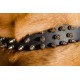 Fashionably Studded Leather Collar