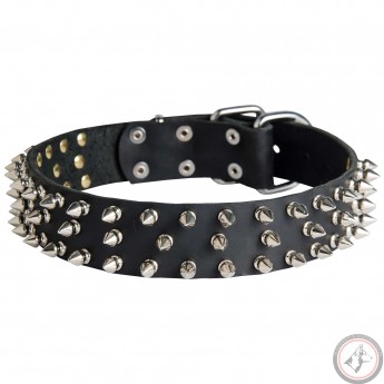 Fashionably Studded Leather Collar