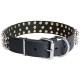 Fashionably Studded Leather Collar