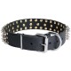 Halsband aus Fettleder mit Spikes für Schäferhund