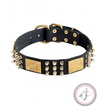 Spiked Leather Collar with Old Brass Plates