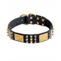 GSD Collar with Nickel Spikes, Cones and Brass Plates