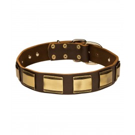 Leather Dog Collar with Brass Plates