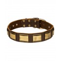 German Shepherd Collar, Wide Leather with Brass Plates