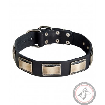 Wide Leather Dog Collar with Nickel Plates