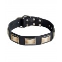 German Shepherd Collar, Nickel Plates and Wide Leather