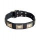 Wide Leather Dog Collar with Nickel Plates