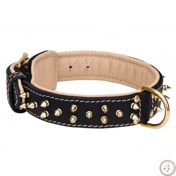 Studded Leather Dog Collar with Nickel Pyramids