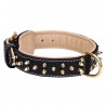 Studded Leather Dog Collar with Nickel Pyramids