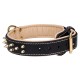 Studded Leather Dog Collar with Nickel Pyramids