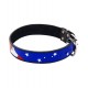 Hand Painted Leather Dog Collar American Pride