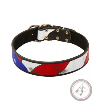 Hand Painted Leather Dog Collar American Pride