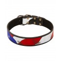 German Shepherd Collar Leather, Hand Painted USA Flag