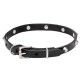 Elegant Labrador Retriever Collar with Crome-Plated Pyramids