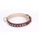 German Shepherd Collar  Brown Leather