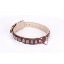 German Shepherd Collar  Brown Leather