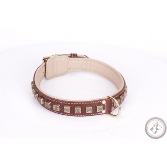 German Shepherd Collar  Bronze Brown Leather