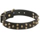 Fashionably Studded Leather Labrador Collar