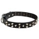 Leather Dog Collar with Nickel Pyramids