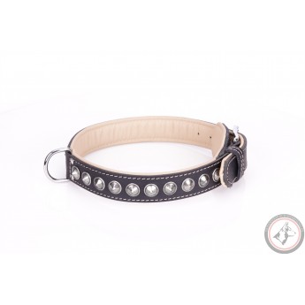 Exclusive German Shepherd Collar  Black Leather Bronze Spikes