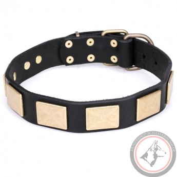 Plates Decorated Leather Dog Collar
