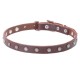Dog Collar Made of Leather with Nickel Decorations